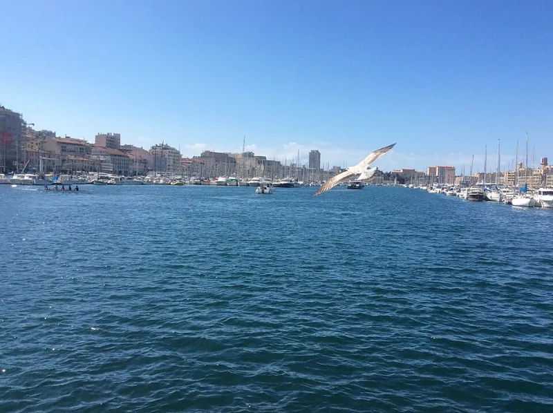 Marseille-Fos, Nice, les grands axes : le socle logistique qui irrigue l'économie régionale